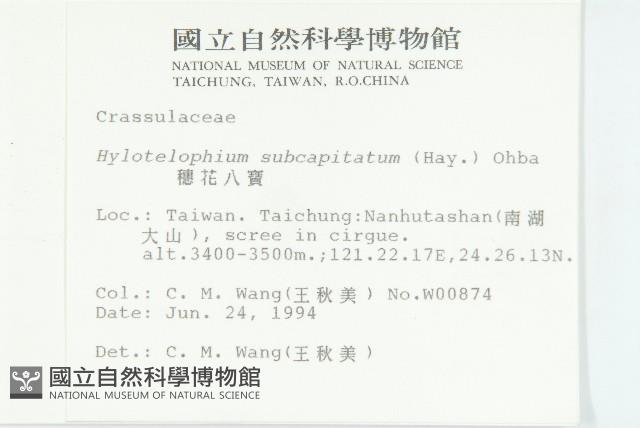 穗花八寶藏品圖，第2張