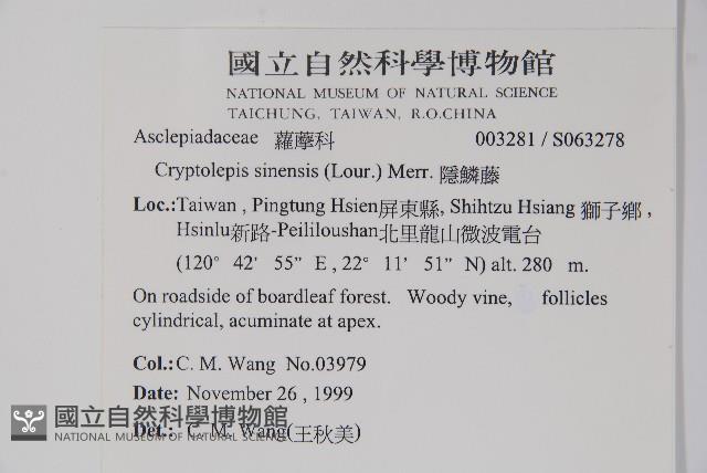 隱鱗藤藏品圖，第2張