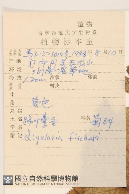 登錄號:S026478藏品圖，第2張