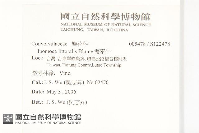 海牽牛藏品圖，第2張