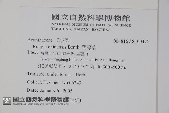 明萼草藏品圖，第2張