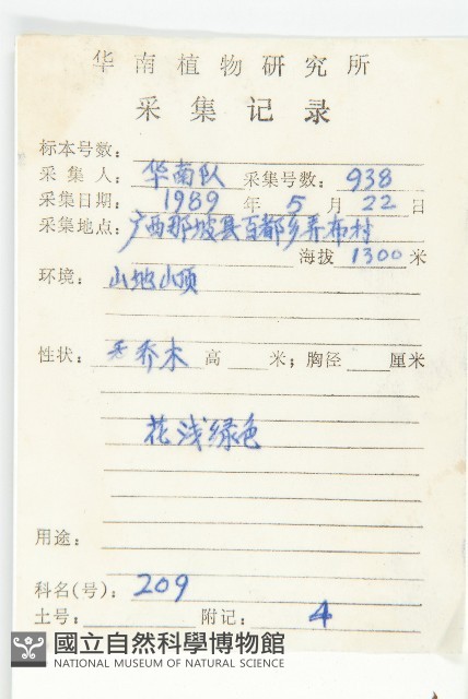 褐毛四照花藏品圖，第2張