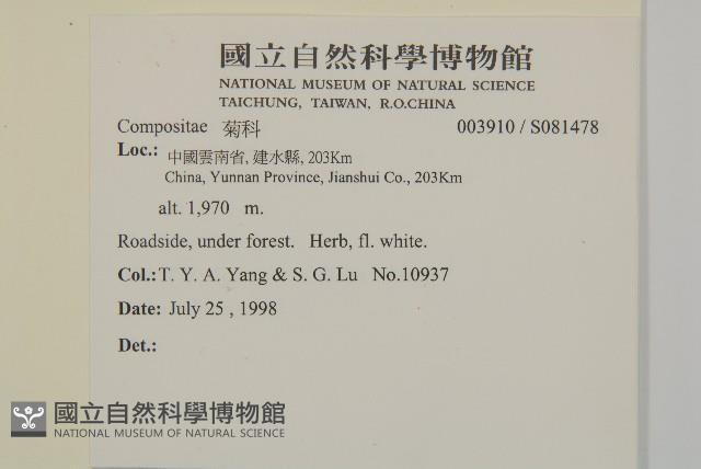 登錄號:S081478藏品圖，第2張