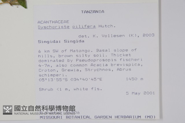 登錄號:S097478藏品圖，第2張