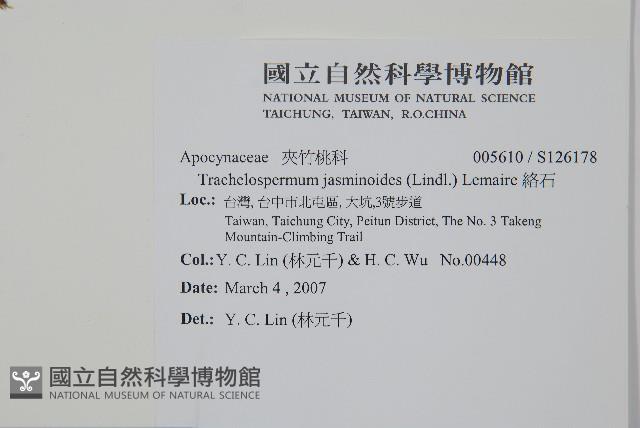 絡石藏品圖，第2張