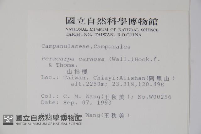 山桔梗藏品圖，第2張