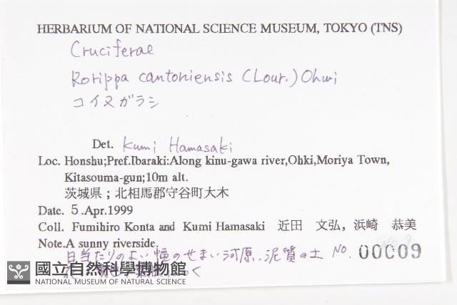 登錄號:S114178藏品圖，第2張