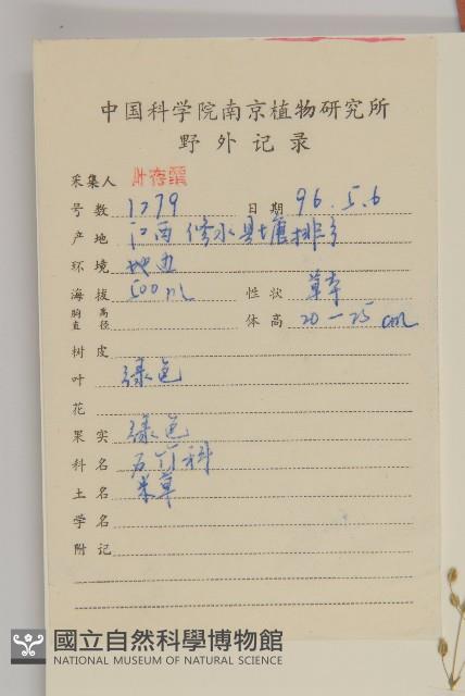 Accession Number:S057178 Collection Image, Figure 2, Total 3 Figures