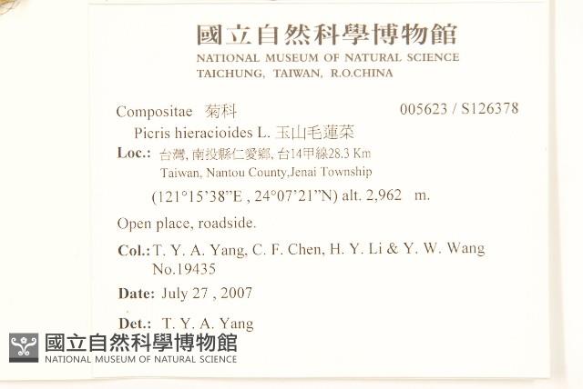 毛蓮菜藏品圖，第2張