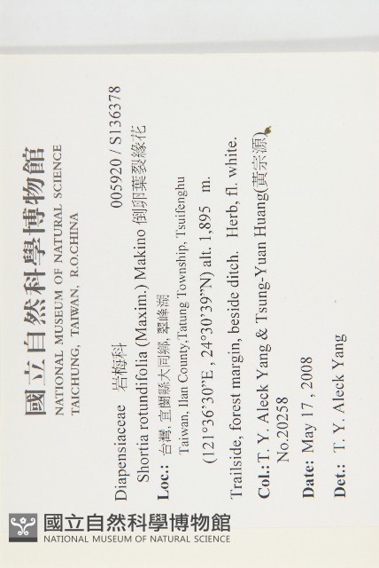 倒卵葉裂緣花藏品圖，第2張