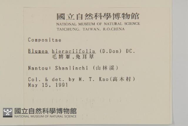 毛將軍藏品圖，第2張