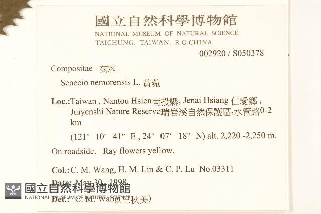 黃菀藏品圖，第2張