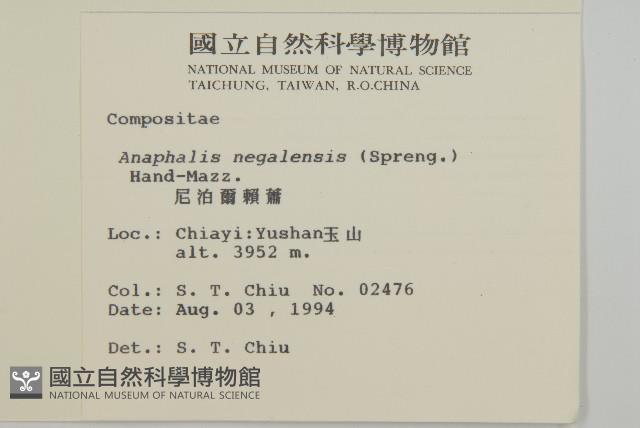 尼泊爾籟簫藏品圖，第2張