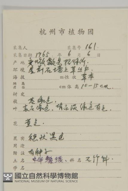 中國繁縷藏品圖，第2張