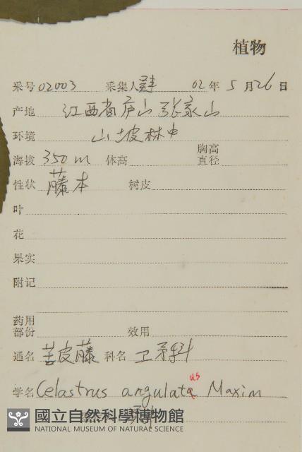 苦皮藤藏品圖，第2張