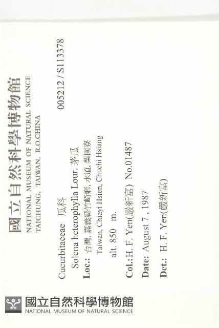 茅瓜藏品圖，第2張