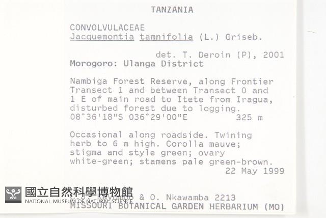 長梗毛娥房藤藏品圖，第2張
