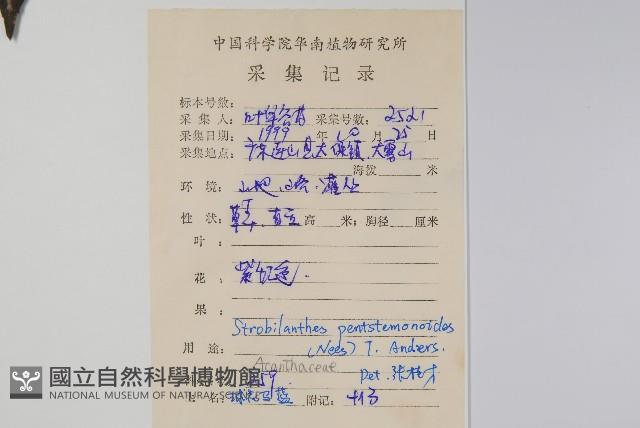 球花馬藍藏品圖，第2張