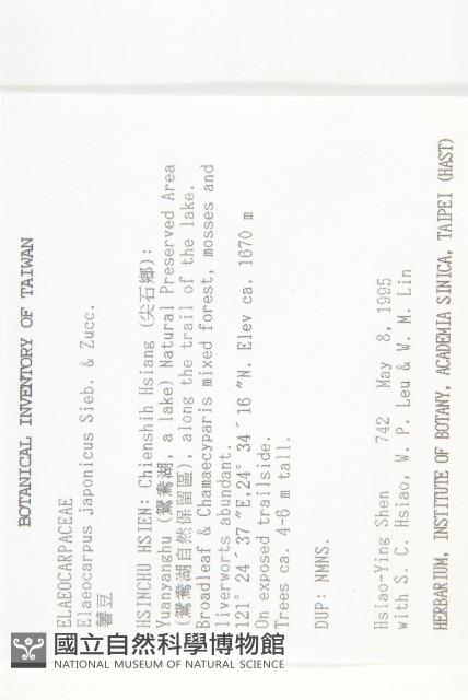 薯豆藏品圖，第2張