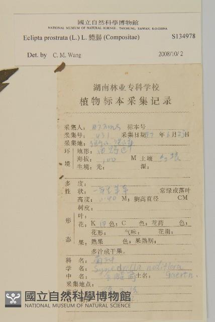 鱧腸藏品圖，第2張