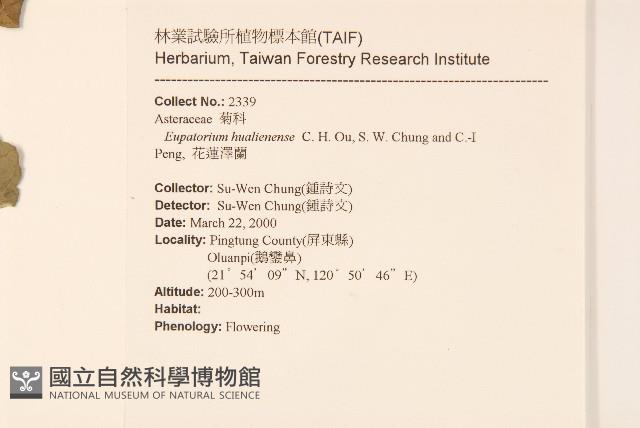 Accession Number:S076578 Collection Image, Figure 2, Total 2 Figures