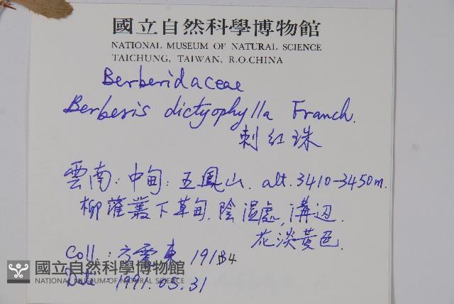 刺紅珠藏品圖，第2張