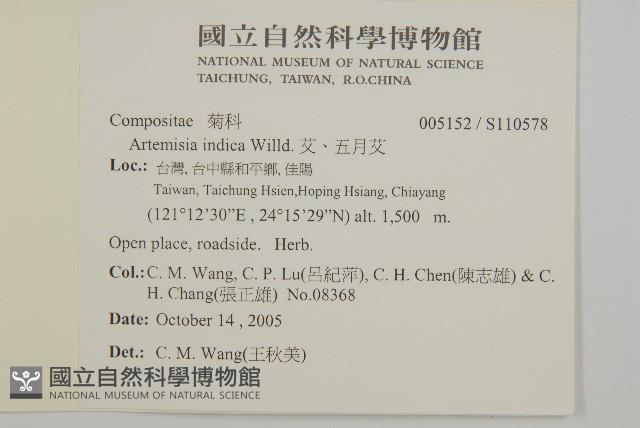 中南蒿藏品圖，第2張