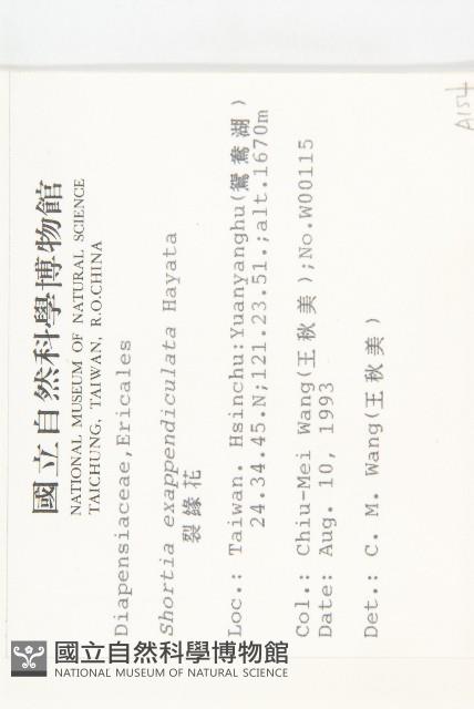 裂緣花藏品圖，第2張