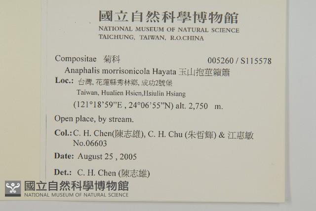 玉山抱莖籟簫藏品圖，第2張