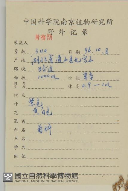 蒿子藏品圖，第2張