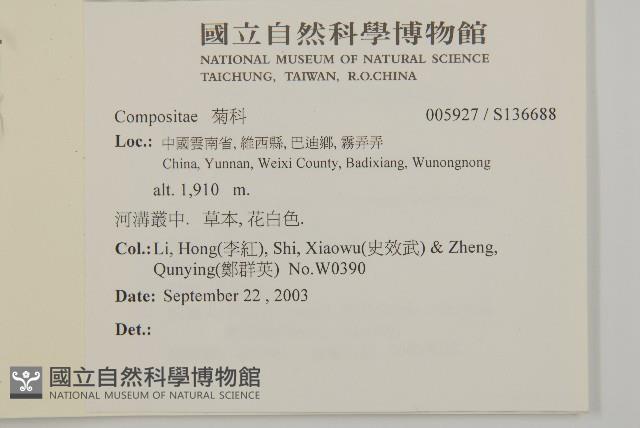 登錄號:S136688藏品圖，第2張