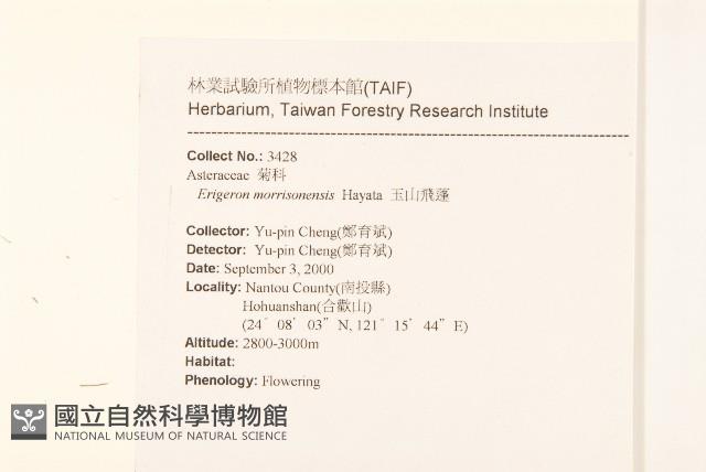 玉山飛蓬藏品圖，第2張