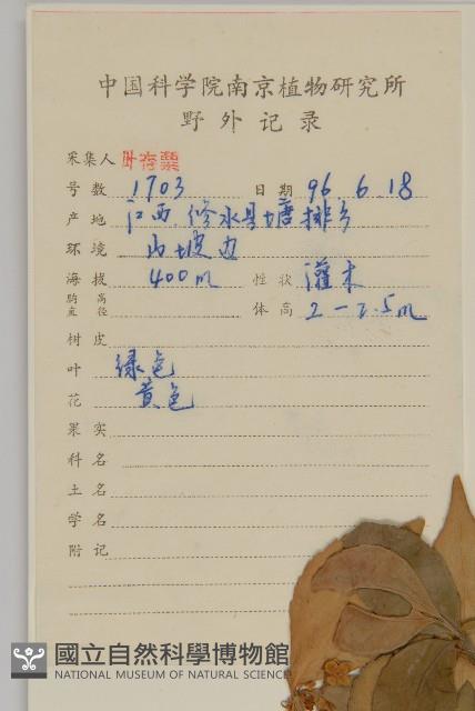 衛矛藏品圖，第2張