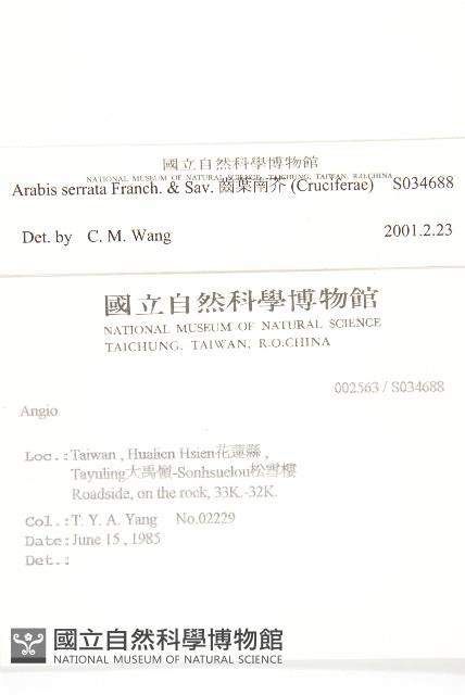 Accession Number:S034688 Collection Image, Figure 2, Total 2 Figures