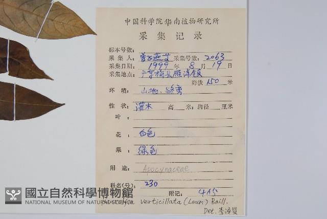 蘿芙木藏品圖，第2張