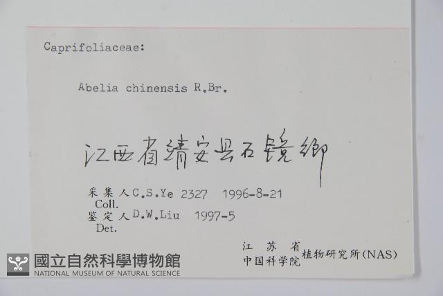 臺灣糯米條藏品圖，第2張