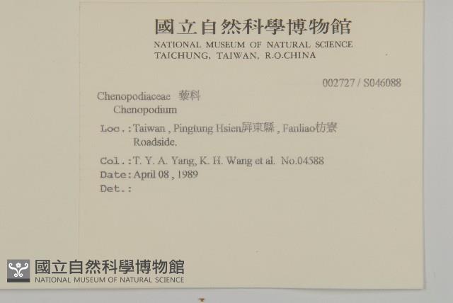 登錄號:S046088藏品圖，第2張