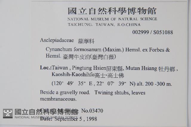 臺灣牛皮消、臺灣白薇藏品圖，第2張