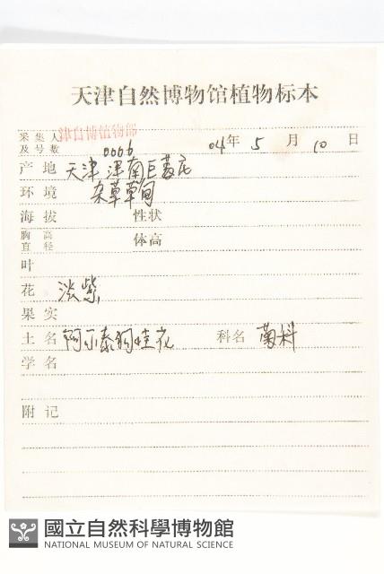 阿爾泰狗哇花藏品圖，第2張