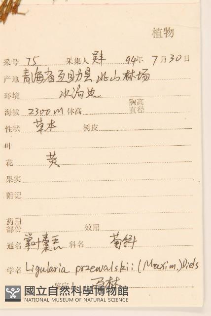 掌葉橐吾藏品圖，第2張