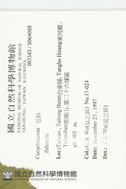 登錄號:S064088藏品圖，第2張