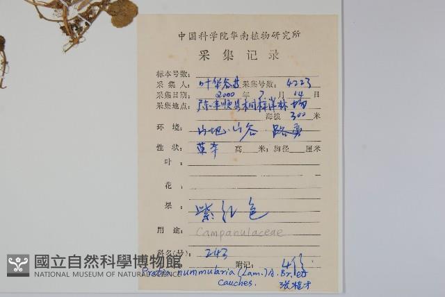 普剌特草藏品圖，第2張