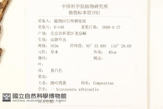 芼管草藏品圖，第2張