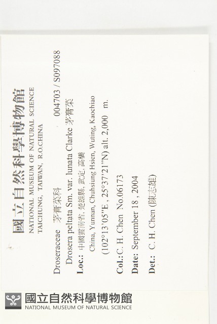 茅膏菜藏品圖，第2張