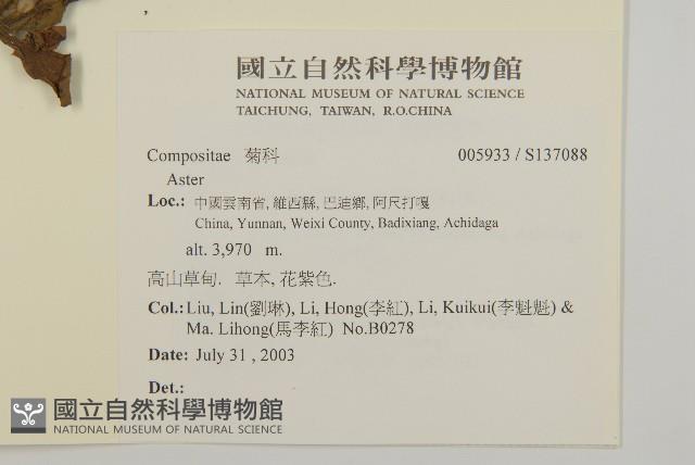 登錄號:S137088藏品圖，第2張