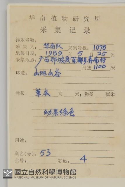 小苦瓜藏品圖，第2張