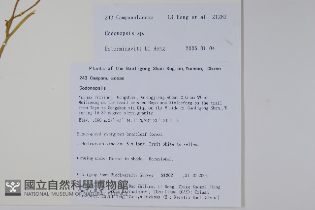登錄號:S105788藏品圖，第2張