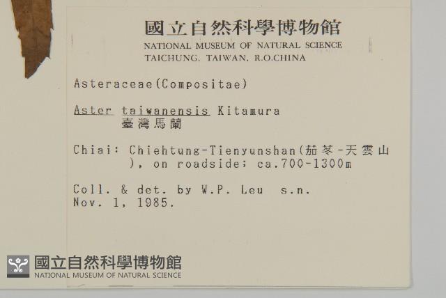 臺灣馬蘭藏品圖，第2張