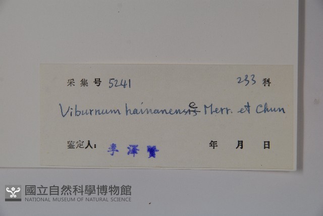 海南莢迷藏品圖，第2張