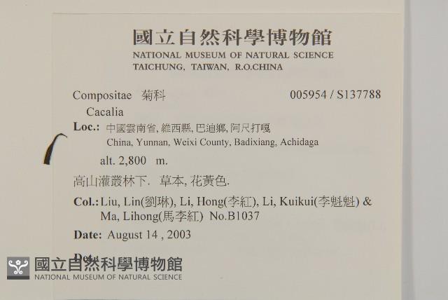 登錄號:S137788藏品圖，第2張